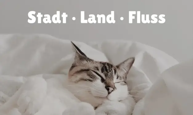 Katzennamen mit O – Stadt Land Fluss