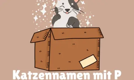 Katzennamen mit P – Stadt Land Fluss