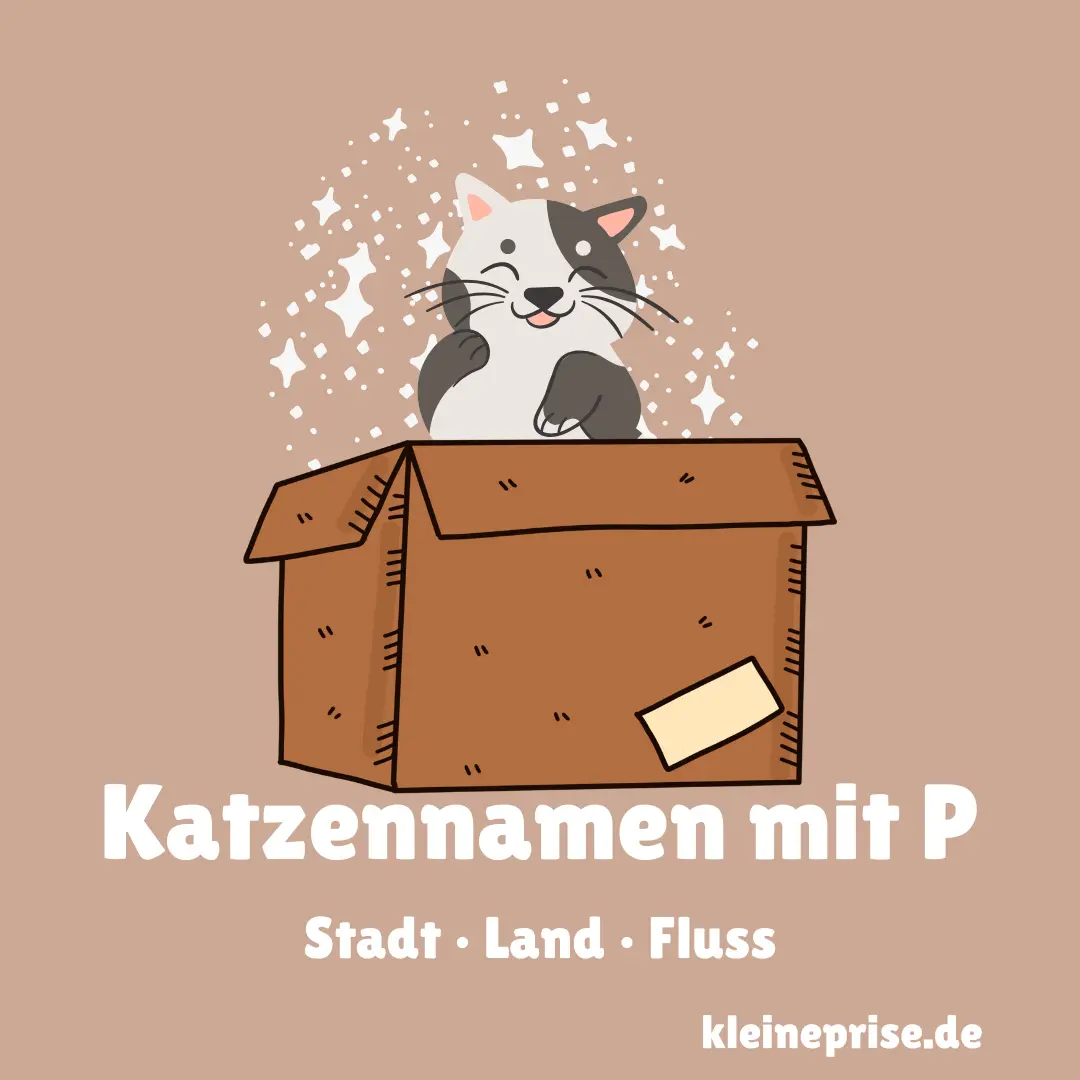 Katzennamen mit P – Stadt Land Fluss Katzennamen mit P