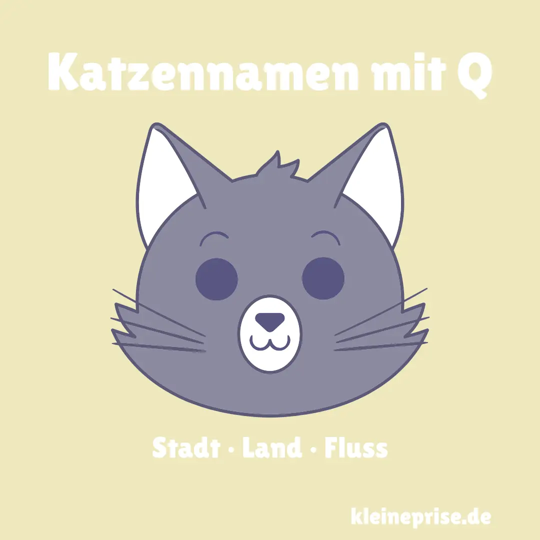 Katzennamen mit Q