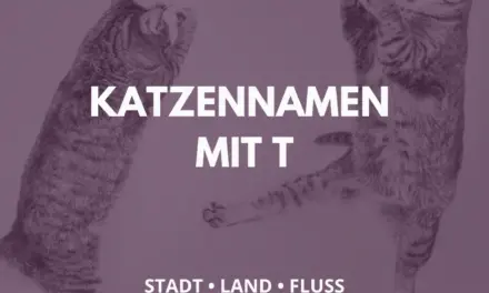 Katzennamen mit T – Stadt Land Fluss