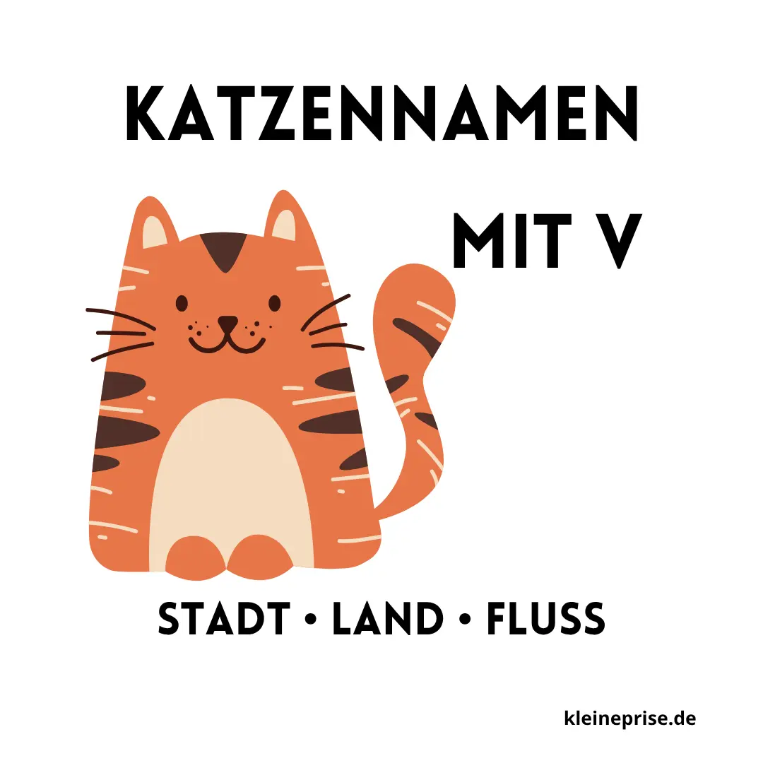 Katzennamen mit V – Stadt Land Fluss Katzennamen mit V
