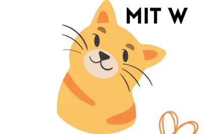 Katzennamen mit W – Stadt Land Fluss