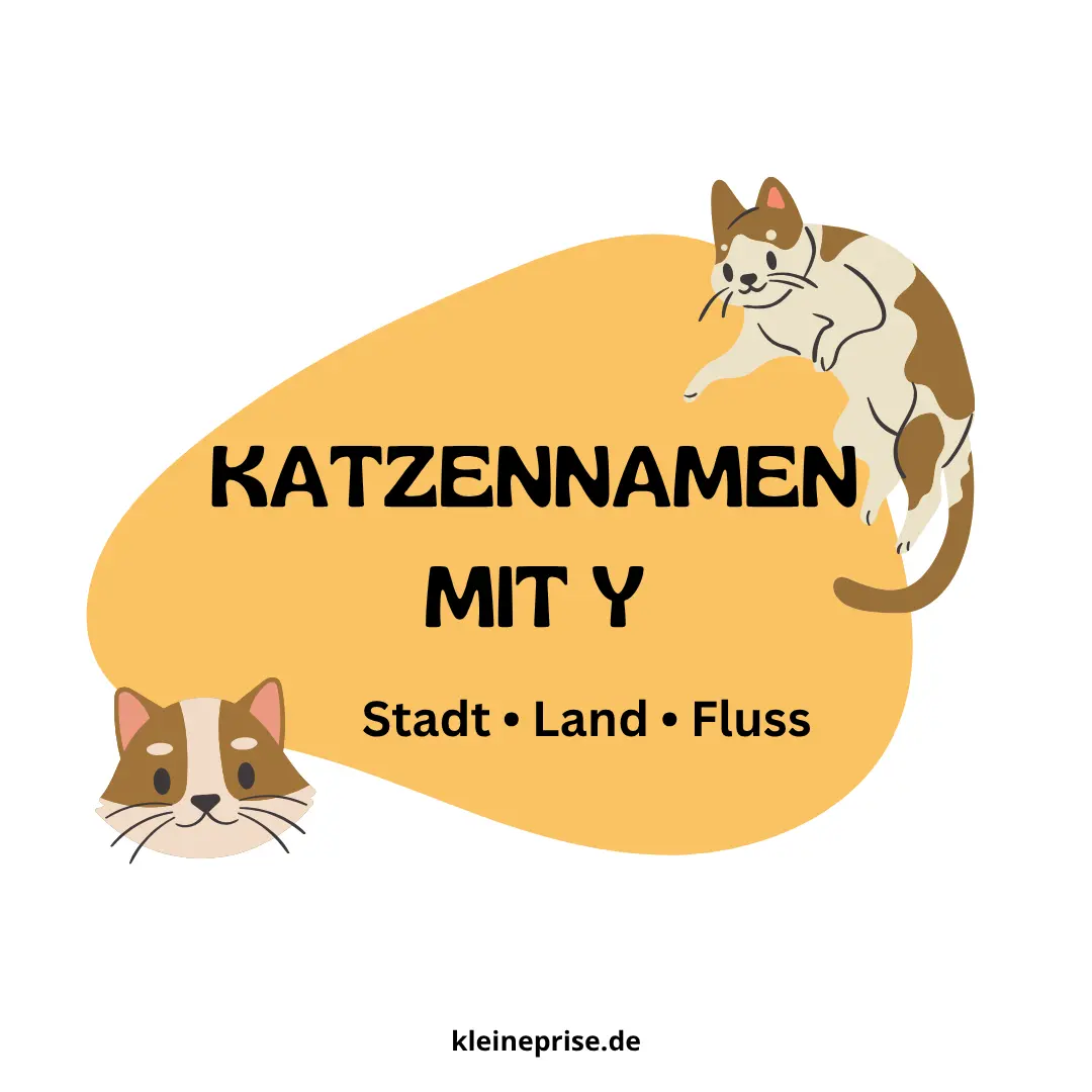 Katzennamen mit Y – Stadt Land Fluss Katzennamen mit Y
