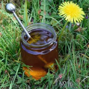 Löwenzahn Honig selber machen - 2 perfekte Rezepte | Kleine Prise