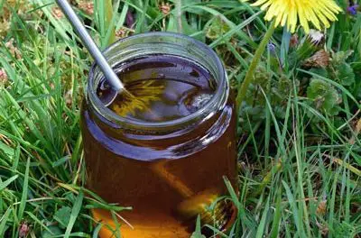 Löwenzahn Honig selber machen – 2 perfekte Rezepte