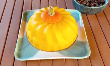 Millassou mit Hokkaidokürbis