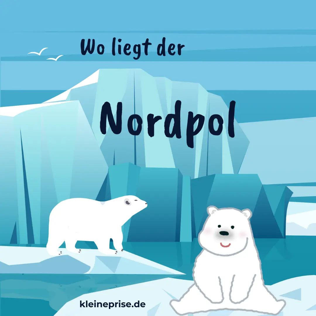 Nordpol