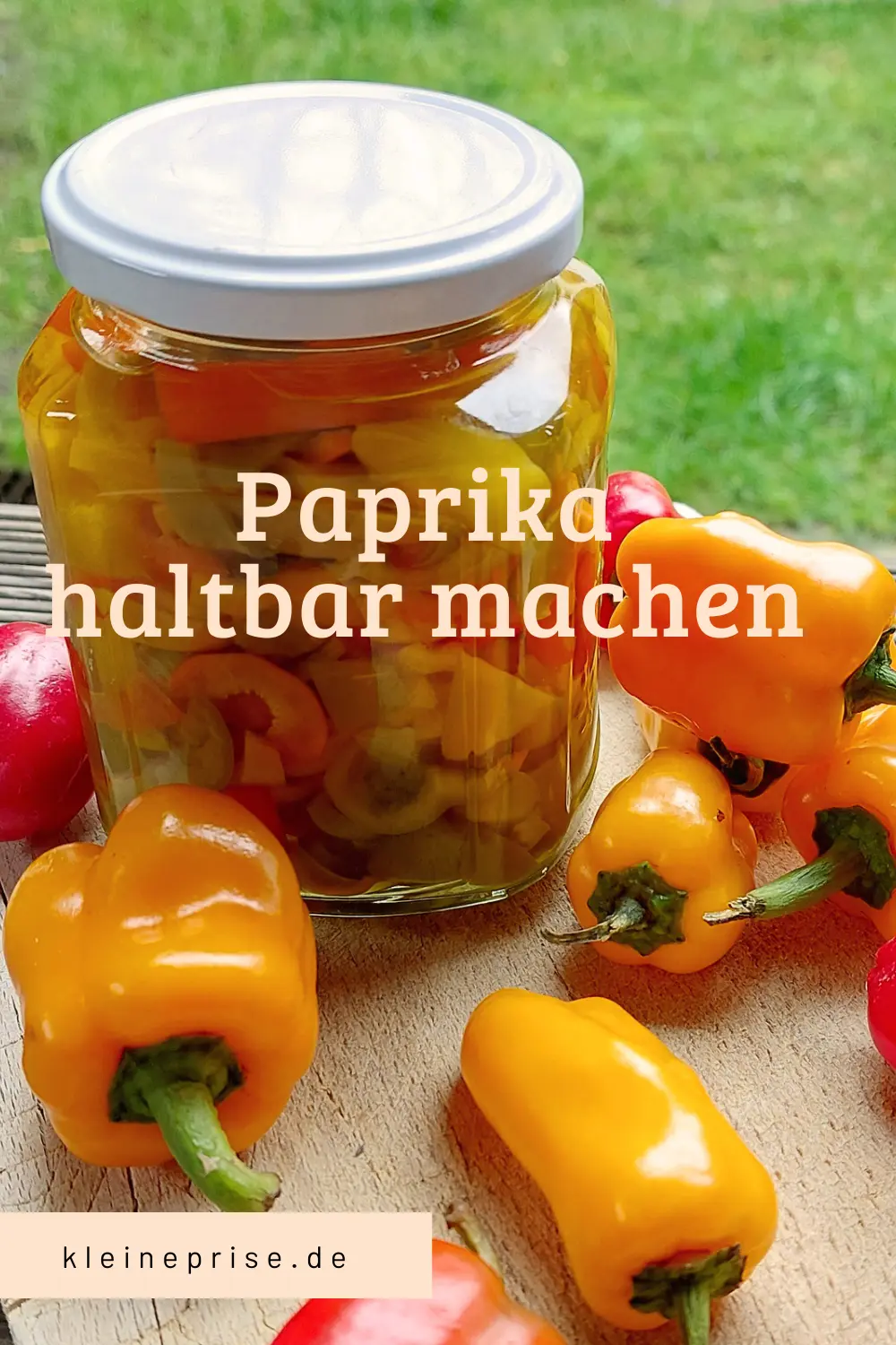 Pin es bei Pinterest: Paprika haltbar machen