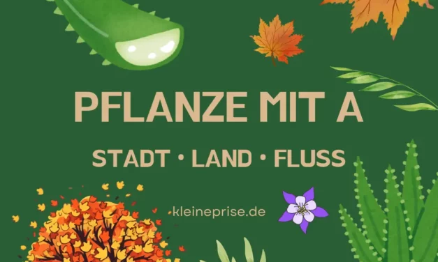 Pflanze mit A – Stadt Land Fluss