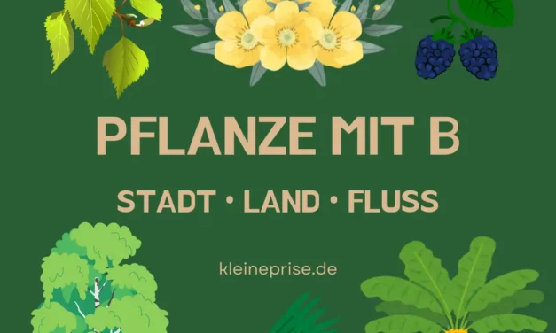 Pflanze mit B – Stadt Land Fluss