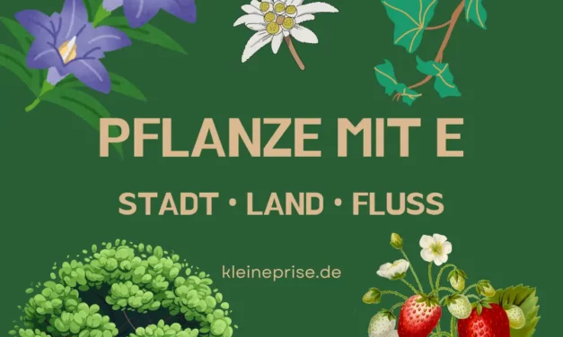 Pflanze mit E – Stadt Land Fluss