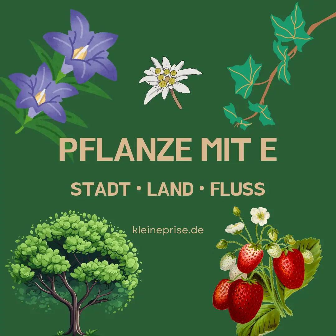 Pflanze mit E