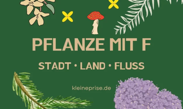 Pflanze mit F – Stadt Land Fluss