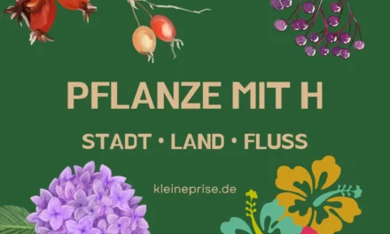 Pflanze mit H – Stadt Land Fluss