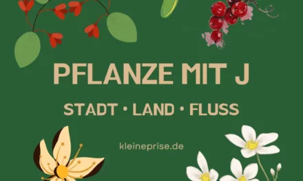 Pflanze mit J – Stadt Land Fluss