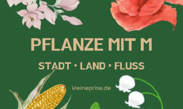 Pflanze mit M – Stadt Land Fluss