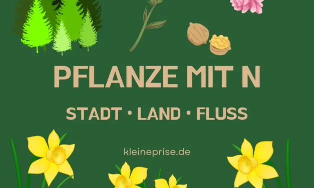 Pflanze mit N – Stadt Land Fluss