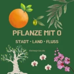 Pflanze mit O – Stadt Land Fluss