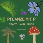 Pflanze mit P – Stadt Land Fluss