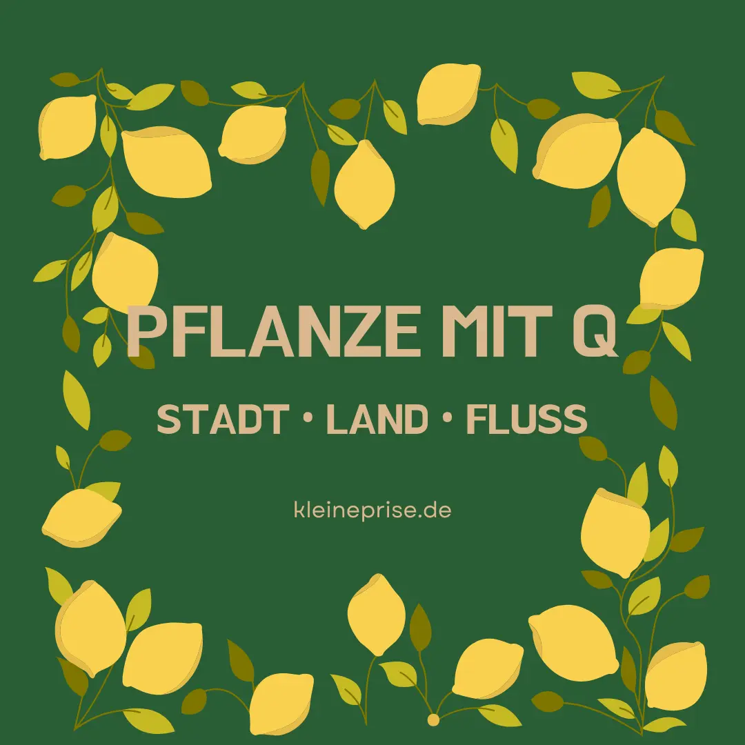 Pflanze mit Q