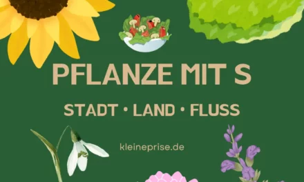 Pflanze mit S – Stadt Land Fluss