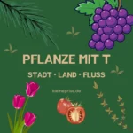 Pflanze mit T – Stadt Land Fluss