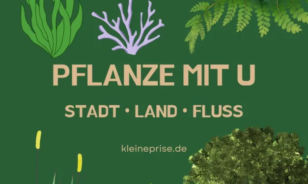 Pflanze mit U – Stadt Land Fluss