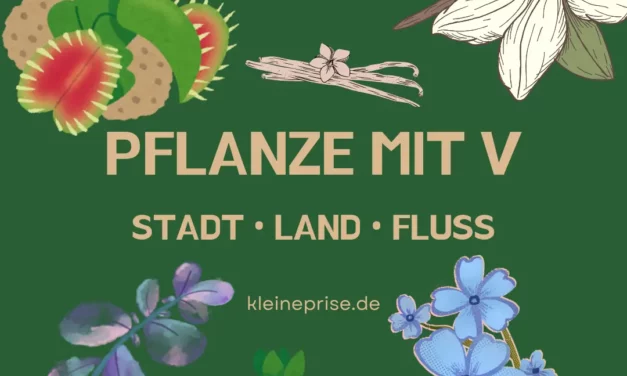 Pflanze mit V – Stadt Land Fluss