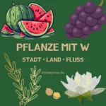 Pflanze mit W – Stadt Land Fluss