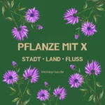 Pflanze mit X – Stadt Land Fluss