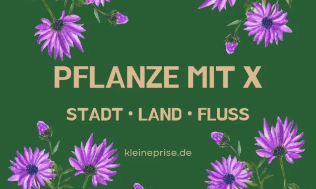 Pflanze mit X – Stadt Land Fluss