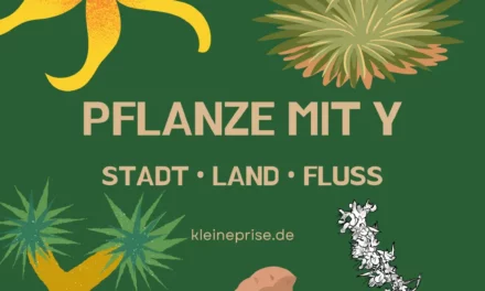 Pflanze mit Y – Stadt Land Fluss