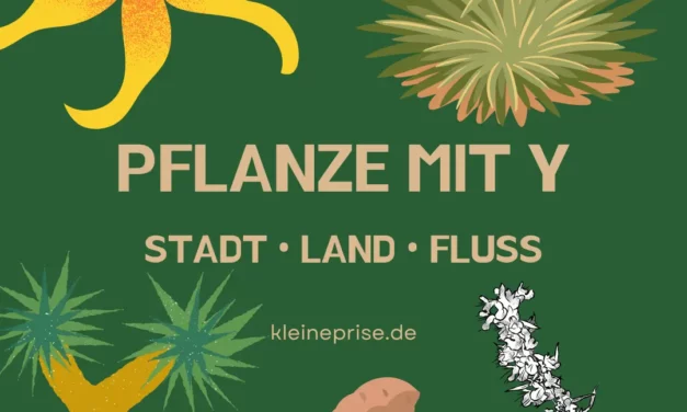 Pflanze mit Y – Stadt Land Fluss