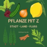 Pflanze mit Z – Stadt Land Fluss