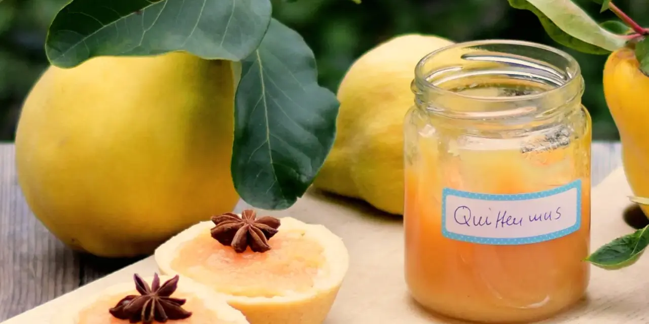 Quittenmus zubereiten
