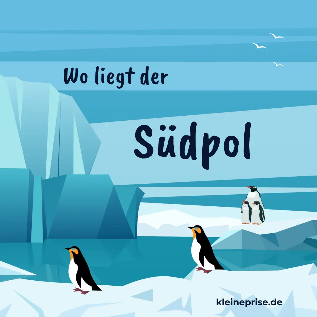 Südpol