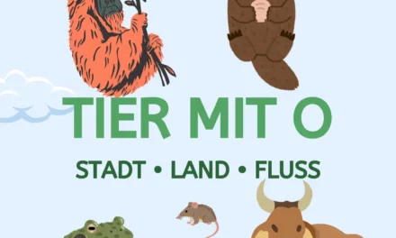 Tier mit O – Stadt Land Fluss