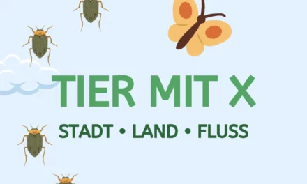 Tier mit X – Stadt Land Fluss