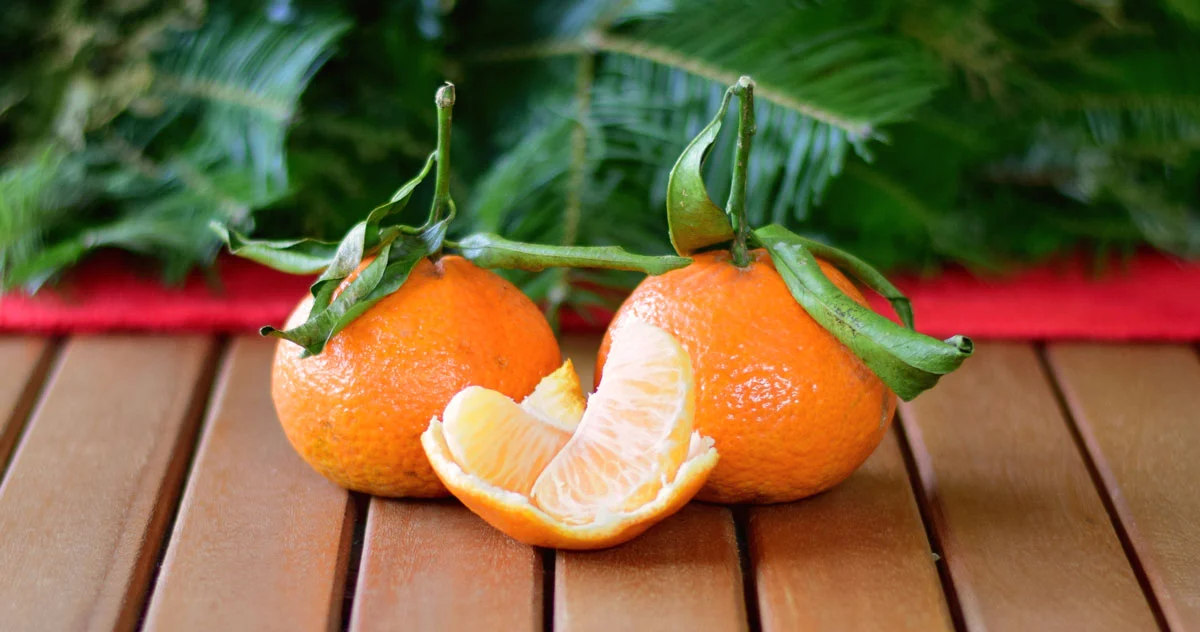 Unterschied Mandarinen Clementinen 5 Vergleiche