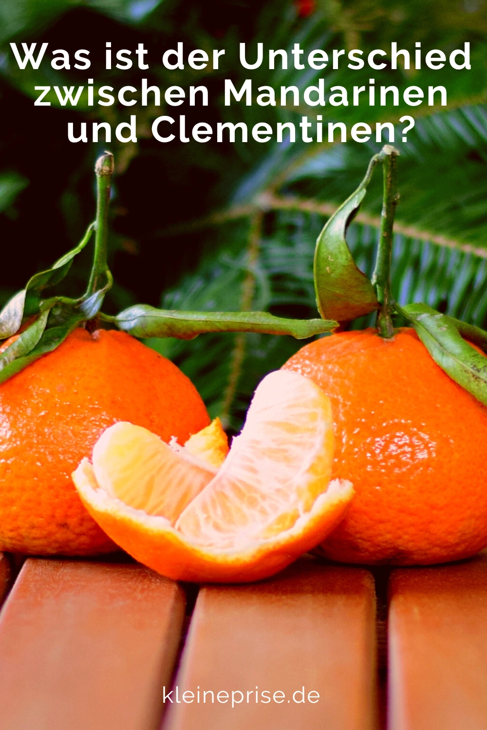 Pin es bei Pinterest: Unterschied Mandarinen Clementinen?