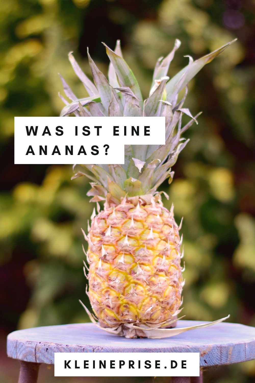 Pin es bei Pinterest: Was ist eine Ananas?
