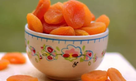 Was ist eine Aprikose? Der Geheimtipp für leckere und gesunde Rezepte!