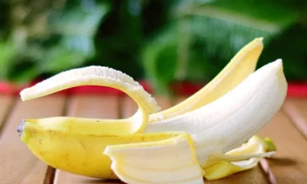 Die perfekte Frucht für jede Gelegenheit: Was ist eine Banane?