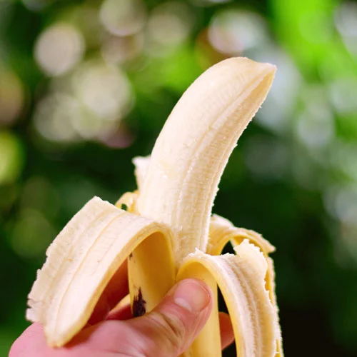 Wie schmecken Bananen?