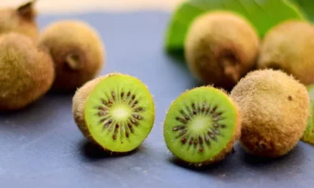 Was ist eine Kiwi? Vom Geheimnis der Kraft und des Geschmacks der Frucht
