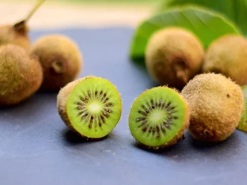 Was ist eine Kiwi? Vom Geheimnis der Kraft und des Geschmacks der Frucht
