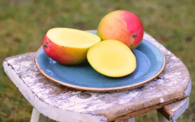 Was ist eine Mango? Lerne den Geschmack von Mangos kennen!