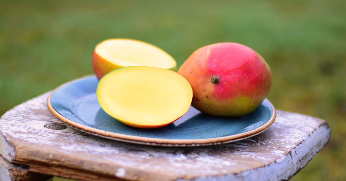 Was ist eine Mango? 5 Gründe für die perfekte Frucht