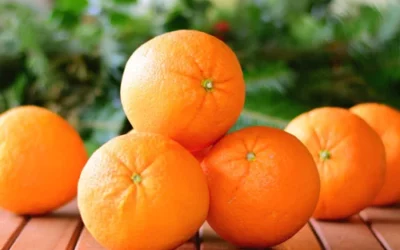 Was ist eine Orange? Entdecke die gesundheitlichen Vorteile der Zitrusfrüchte!